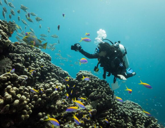 MALDIVES TOUR