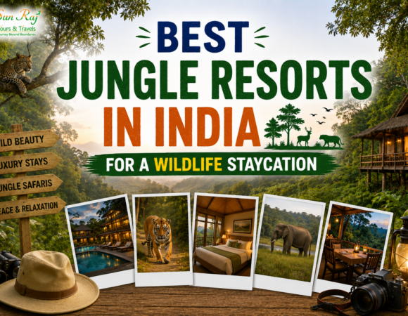 Best Jungle Resorts in India for a Wildlife Staycation