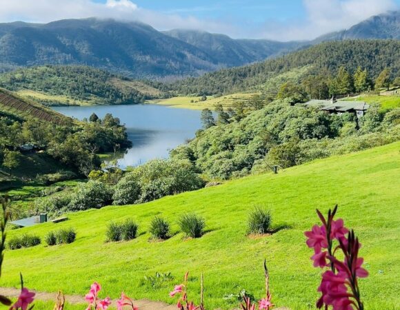 Mysore & Ooty Tour Package for Couples: 5-Night Romantic Escape
