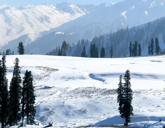 Shimla-Manali Tour Package: 4-Night Himalayan Escape from Mumbai