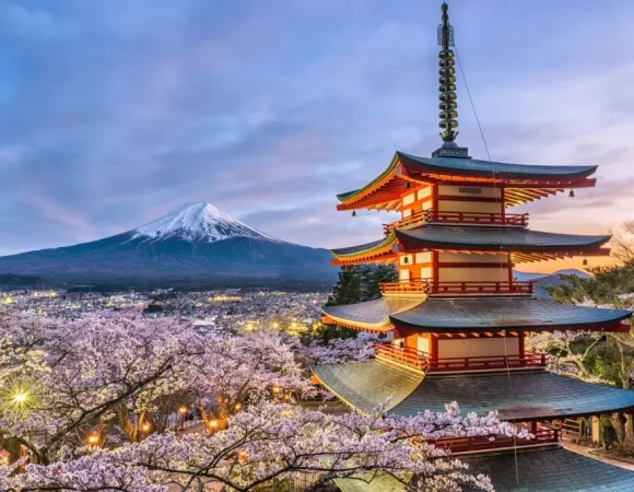 Japan Travel Package Tour: 8-Night Bespoke Family Odyssey