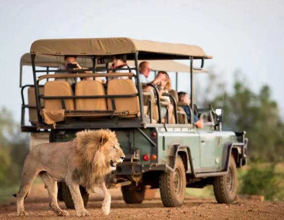 Kenya Tour Package: 6-Night Majestic East African Safari Odyssey